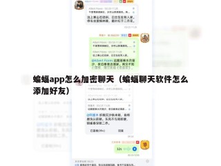 蝙蝠app怎么加密聊天（蝙蝠聊天软件怎么添加好友）