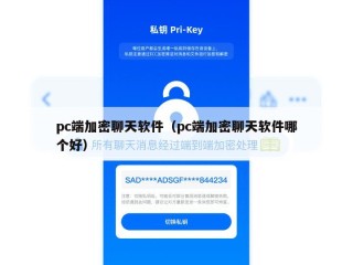 pc端加密聊天软件（pc端加密聊天软件哪个好）