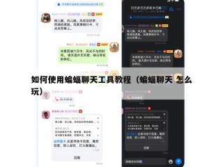 如何使用蝙蝠聊天工具教程（蝙蝠聊天 怎么玩）
