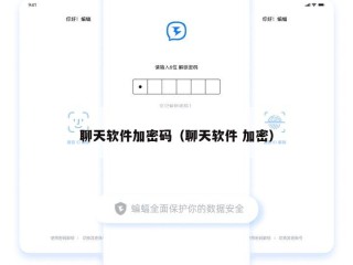 聊天软件加密码（聊天软件 加密）