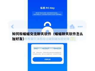 如何和蝙蝠交流聊天软件（蝙蝠聊天软件怎么加好友）