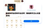 蝙蝠如何加密聊天信息呢（蝙蝠聊天怎么设置密码）