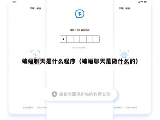 蝙蝠聊天是什么程序（蝙蝠聊天是做什么的）
