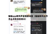 蝙蝠app聊天声音哪里设置（蝙蝠聊天软件怎么没有消息提示）