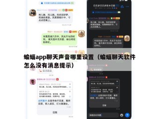 蝙蝠app聊天声音哪里设置（蝙蝠聊天软件怎么没有消息提示）