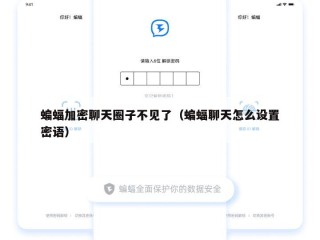 蝙蝠加密聊天圈子不见了（蝙蝠聊天怎么设置密语）