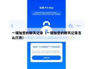 一键加密的聊天记录（一键加密的聊天记录怎么打开）
