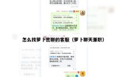 怎么找萝卜密聊的客服（萝卜聊天兼职）