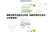 蝙蝠号聊天记录怎么恢复（蝙蝠号聊天记录怎么恢复微信）