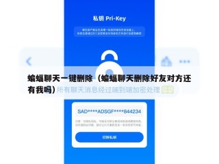 蝙蝠聊天一键删除（蝙蝠聊天删除好友对方还有我吗）
