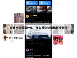 企业密信号是什么（什么是企业密信百度百科）