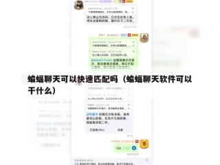蝙蝠聊天可以快速匹配吗（蝙蝠聊天软件可以干什么）