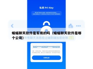 蝙蝠聊天软件是军用的吗（蝙蝠聊天软件是哪个公司）
