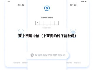 萝卜密聊中信（卜萝密的种子能种吗）