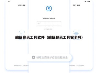 蝙蝠聊天工具软件（蝙蝠聊天工具安全吗）