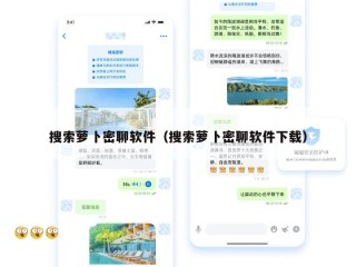 搜索萝卜密聊软件（搜索萝卜密聊软件下载）