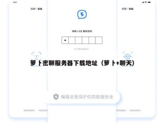 萝卜密聊服务器下载地址（萝卜+聊天）