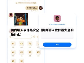 国内聊天软件最安全（国内聊天软件最安全的是什么）