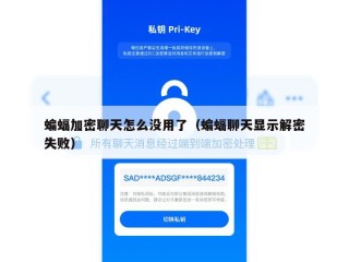 蝙蝠加密聊天怎么没用了（蝙蝠聊天显示解密失败）