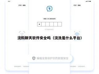 浣购聊天软件安全吗（浣洗是什么平台）