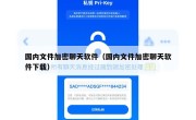 国内文件加密聊天软件（国内文件加密聊天软件下载）