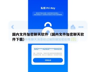 国内文件加密聊天软件（国内文件加密聊天软件下载）