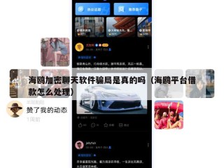 海鸥加密聊天软件骗局是真的吗（海鸥平台借款怎么处理）