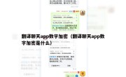 翻译聊天app数字加密（翻译聊天app数字加密是什么）