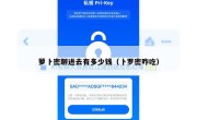 萝卜密聊进去有多少钱（卜罗密咋吃）