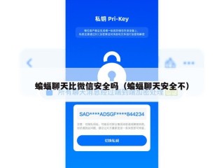 蝙蝠聊天比微信安全吗（蝙蝠聊天安全不）