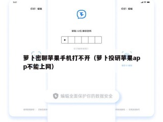 萝卜密聊苹果手机打不开（萝卜投研苹果app不能上网）