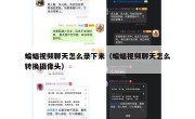 蝙蝠视频聊天怎么录下来（蝙蝠视频聊天怎么转换摄像头）