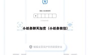 小纸条聊天加密（小纸条微信）