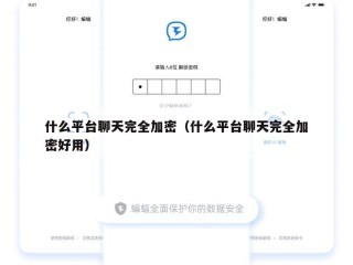 什么平台聊天完全加密（什么平台聊天完全加密好用）
