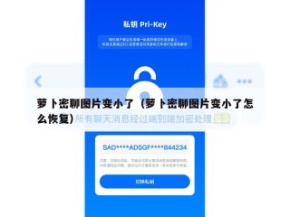 萝卜密聊图片变小了（萝卜密聊图片变小了怎么恢复）