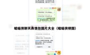 蝙蝠侠聊天表情包图片大全（蝙蝠侠梗图）