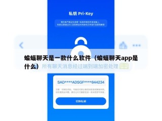 蝙蝠聊天是一款什么软件（蝙蝠聊天app是什么）