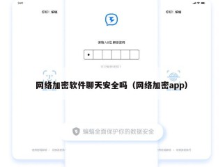 网络加密软件聊天安全吗（网络加密app）
