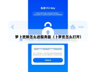 萝卜密聊怎么进服务器（卜萝密怎么打开）