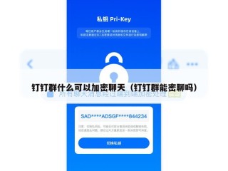 钉钉群什么可以加密聊天（钉钉群能密聊吗）