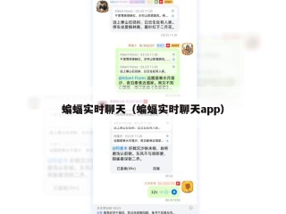 蝙蝠实时聊天（蝙蝠实时聊天app）