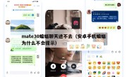 mate30蝙蝠聊天进不去（安卓手机蝙蝠为什么不会提示）