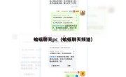 蝙蝠聊天pc（蝙蝠聊天频道）