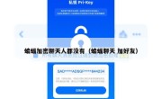 蝙蝠加密聊天人都没有（蝙蝠聊天 加好友）