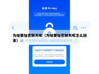 为啥要加密聊天呢（为啥要加密聊天呢怎么回事）
