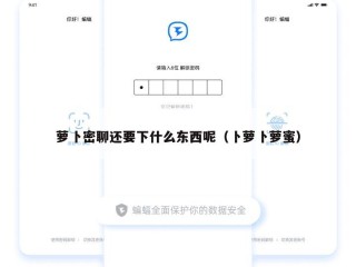 萝卜密聊还要下什么东西呢（卜萝卜萝蜜）