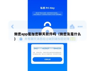 微密app是加密聊天软件吗（微密友是什么）