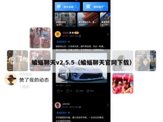 蝙蝠聊天v2.5.5（蝙蝠聊天官网下载）