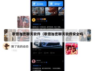 歌德加密聊天软件（歌德加密聊天软件安全吗）