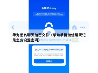 华为怎么聊天加密文件（华为手机微信聊天记录怎么设置密码）